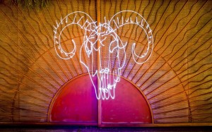 1.	Light artist Darren Pearson, 29, takes the light graffiti snaps with a long-exposure camera.