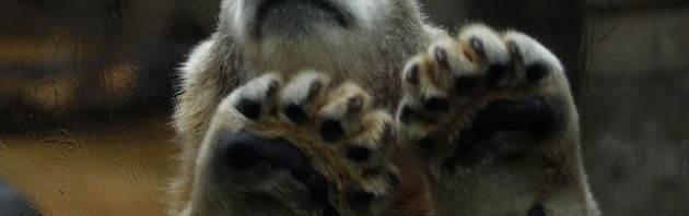 2013-01-04T115037Z_1917263863_GM1E9141J2R01_RTRMADP_3_GERMANY